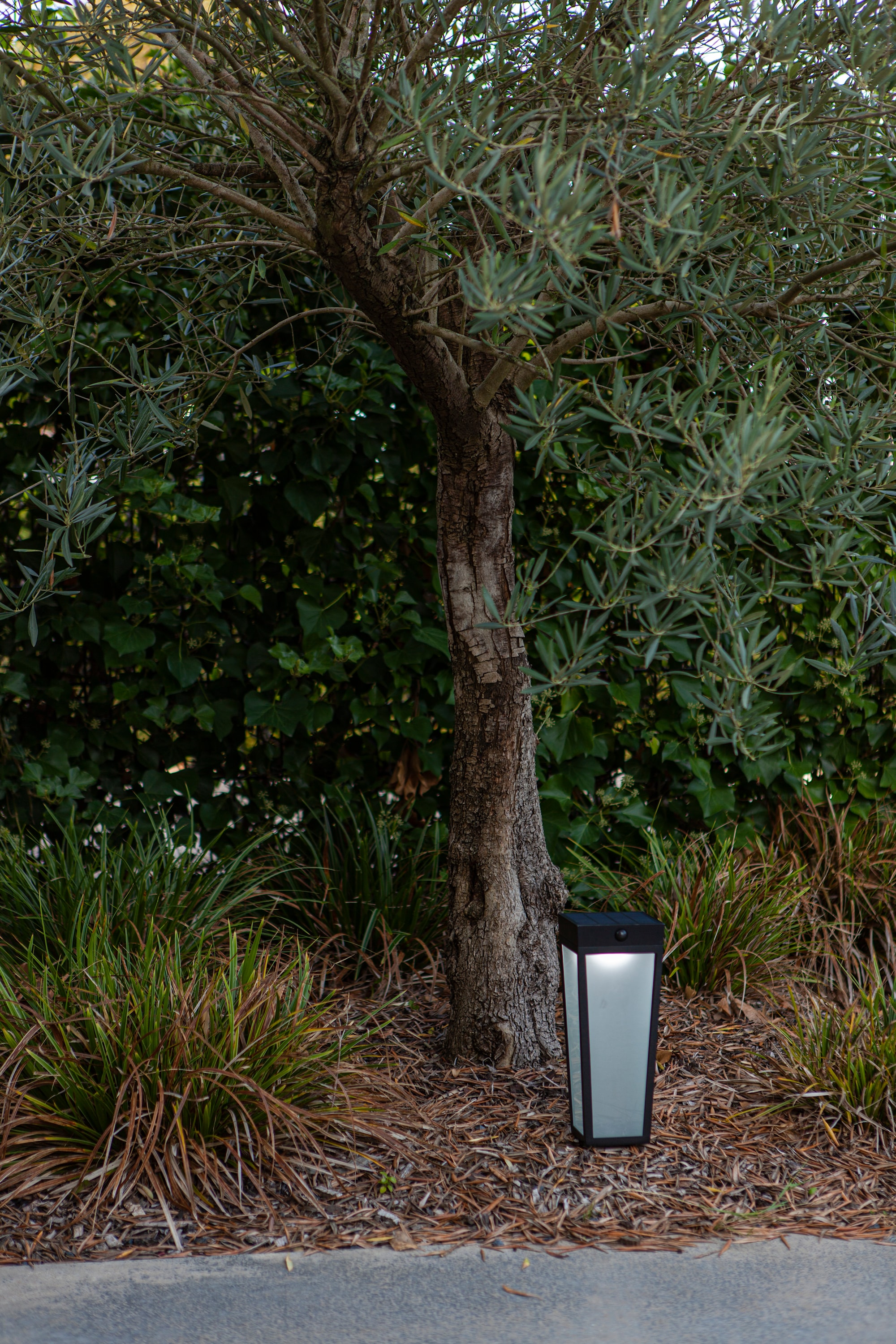 6996601012_6939412089126 (6).jpg