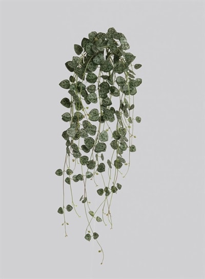 Silkeplanter kunstig hjerteranke lys grøn L50 cm