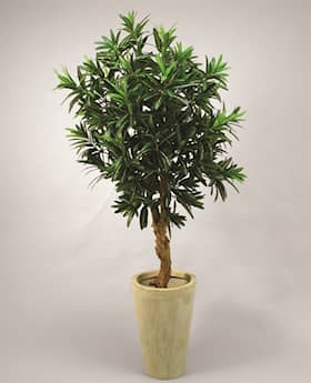 Silkeplanter kunstig Croton træ H150 cm