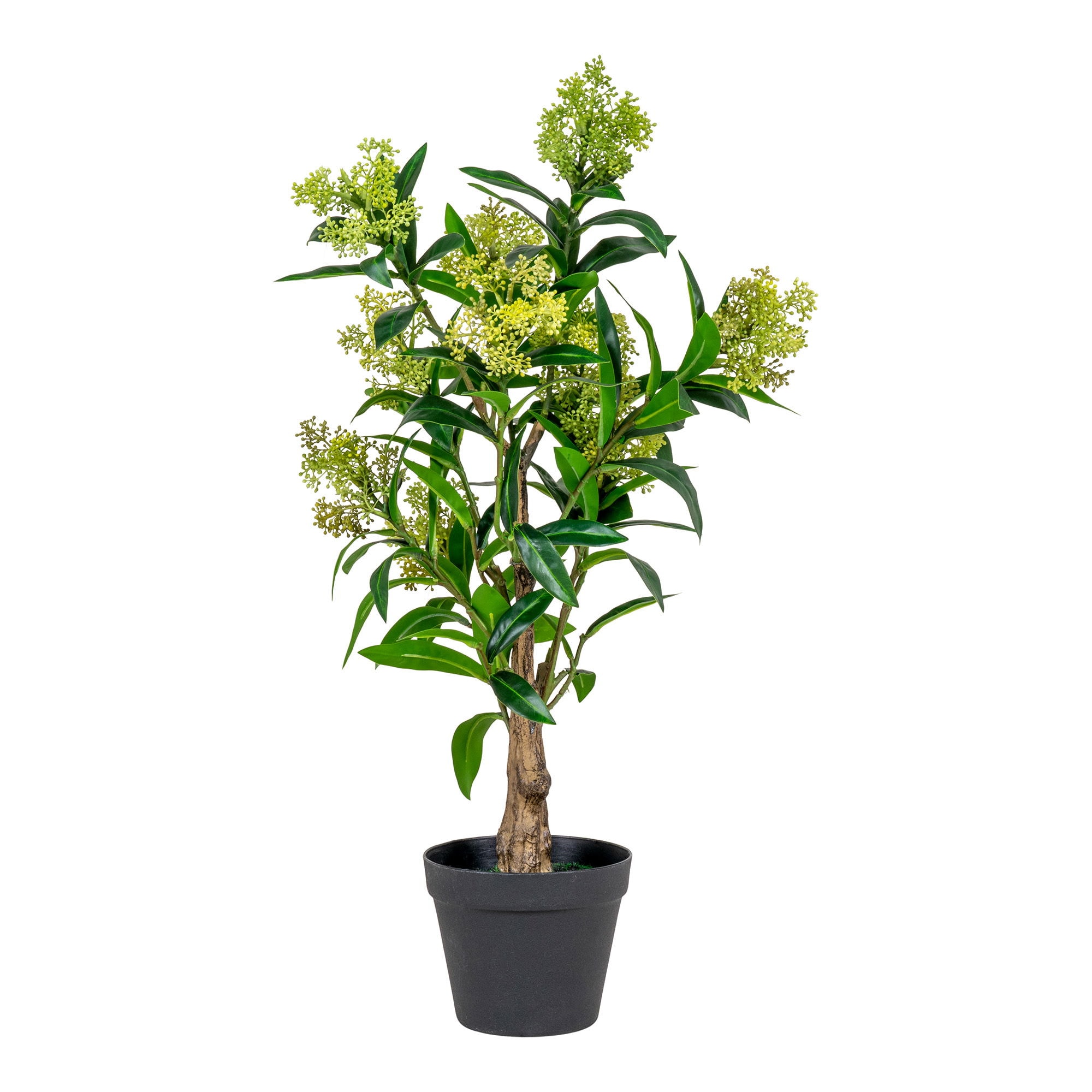 House Nordic Skimmia Træ kunstig plante i grøn H75 cm