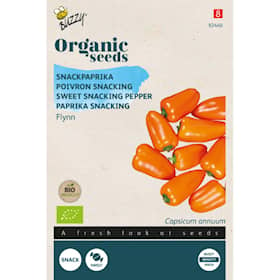 Buzzy Organic snackpeberfrugt orange Flynn økologiske frø