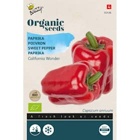 Buzzy Organic peberfrugt rød California Wonder økologiske frø