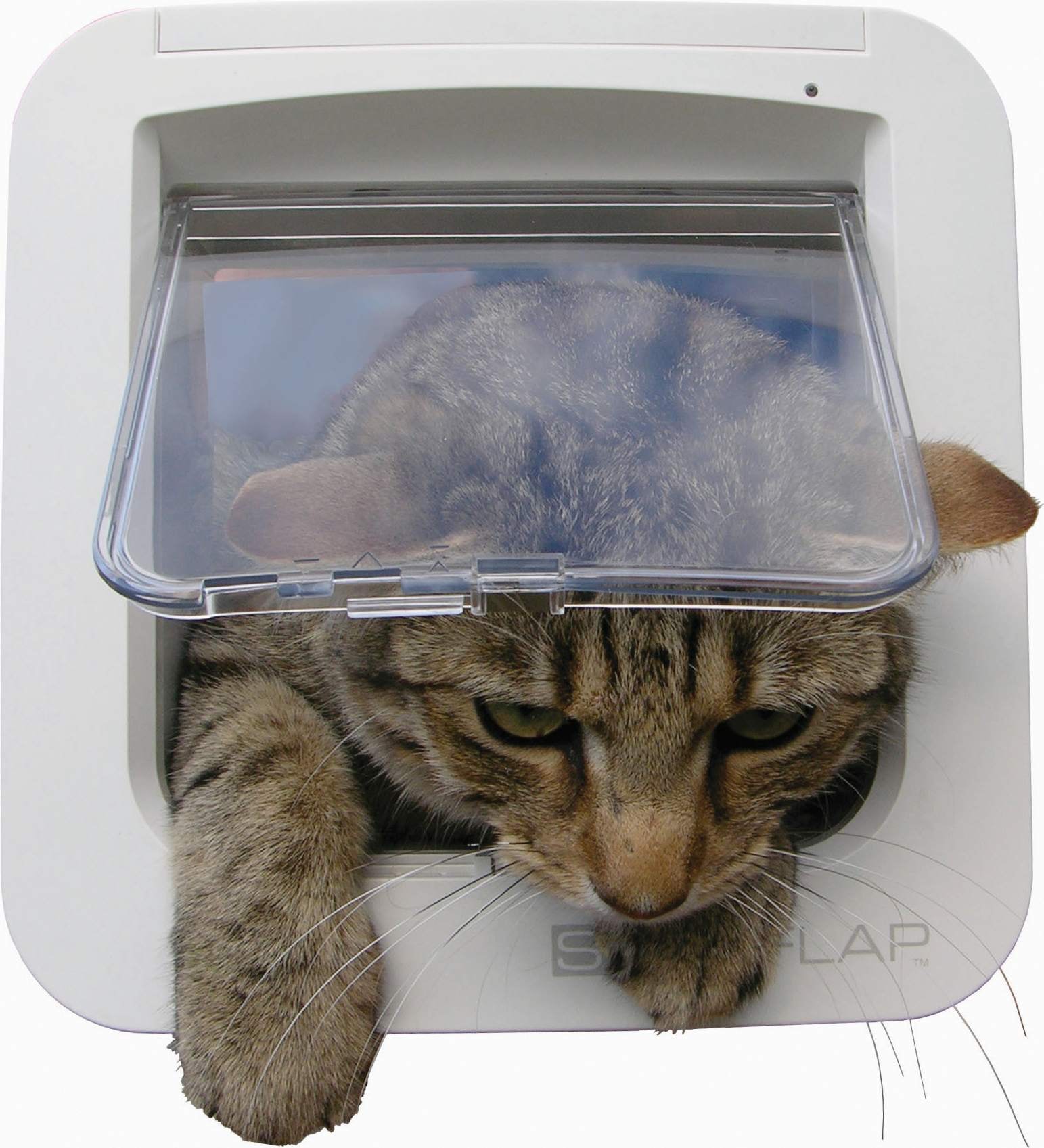 Sureflap kattedør i brun til chip