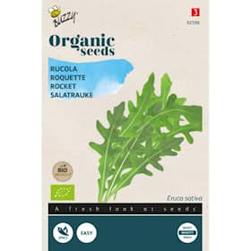 Buzzy Organic rucola økologiske frø