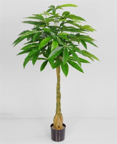 Silkeplanter kunstig Pachira træ H130 cm | Boliginteriør | Indretning til hjemmet