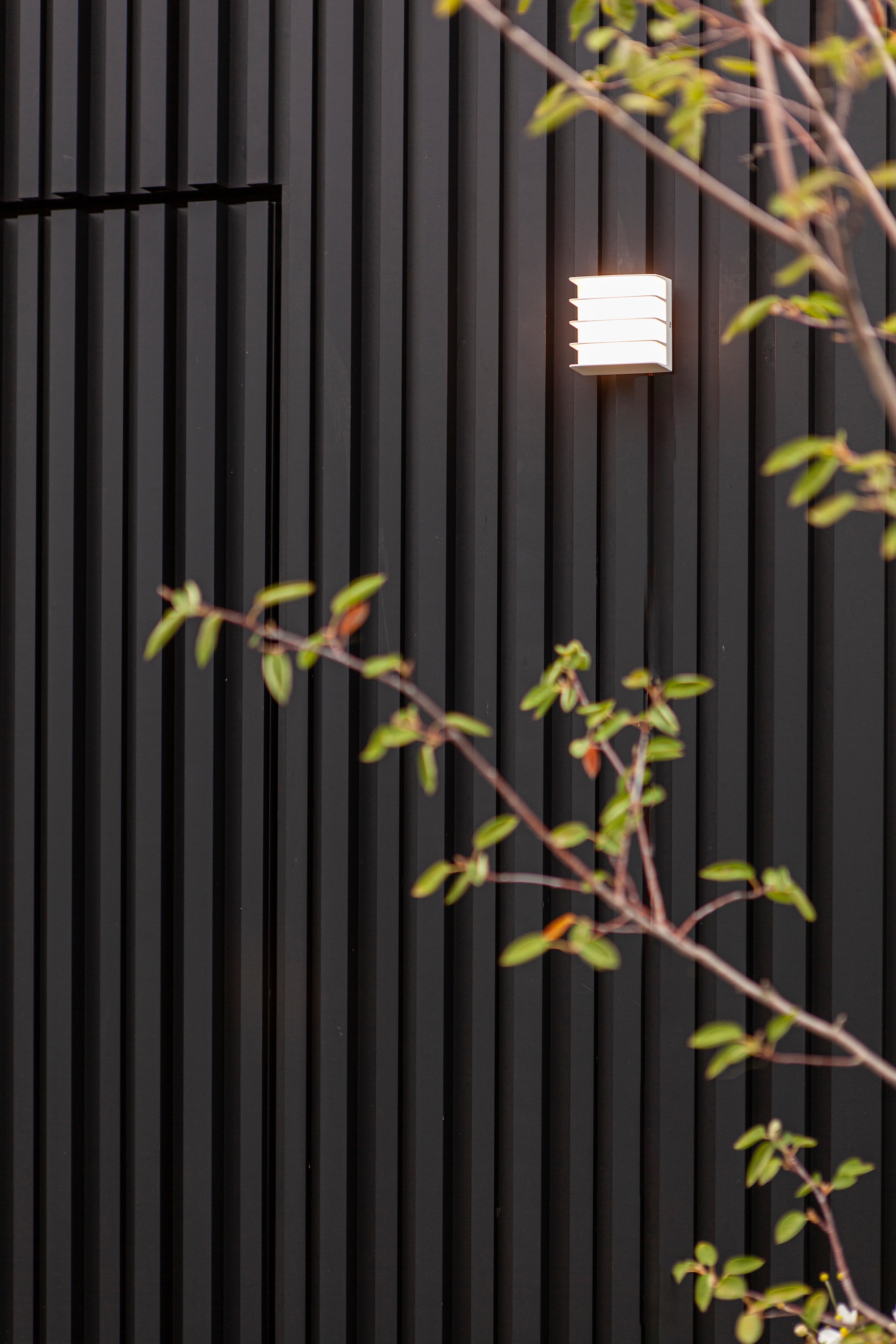 5289401469_6939412014937 (8).jpg