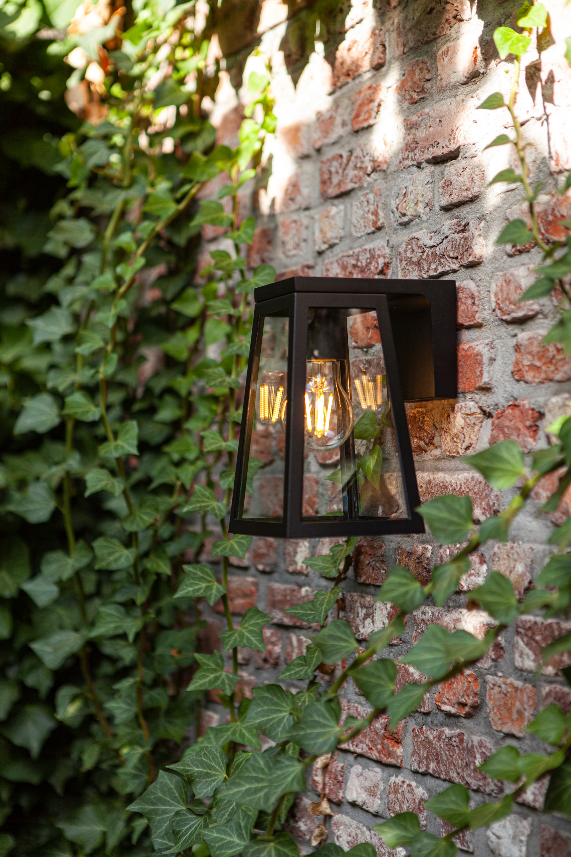 6990901012_6939412014999 (5).jpg