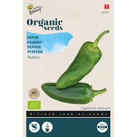 Buzzy Organic chilipeber Padron økologiske frø