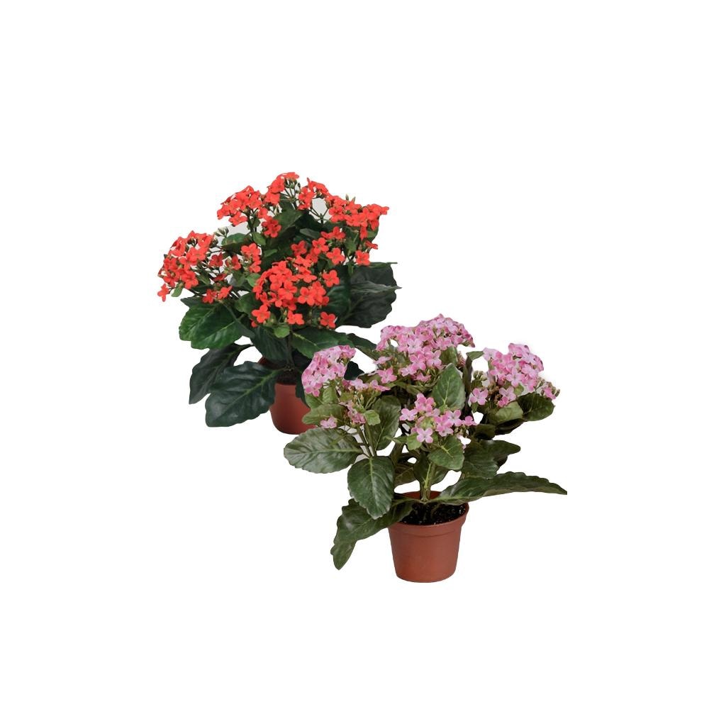 Silkeplanter kunstig Kalanchoe rød H30 cm