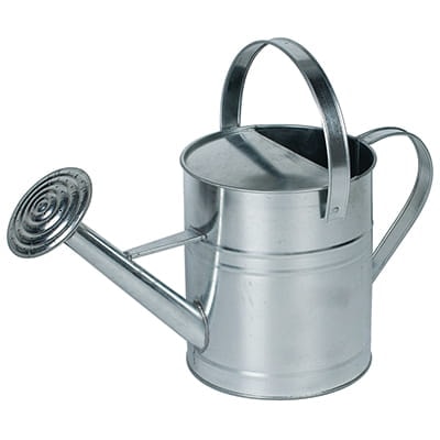 Ryom vandkande galvaniseret 10 L