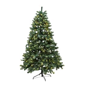 Nordic Winter Aske juletræ med LED lys PVC Klasse B+ 210 x 138 cm