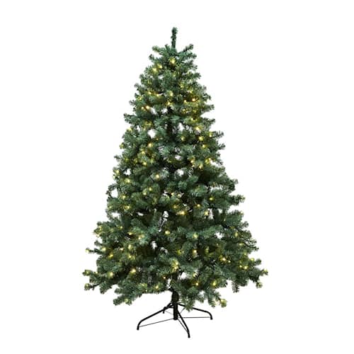 Nordic Winter Aske juletræ med LED lys PVC Klasse B+ 210 x 138 cm