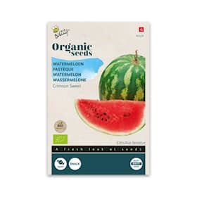 Buzzy Organic vandmelon Crimson Sweet økologiske frø