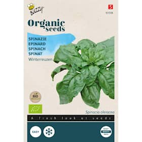 Buzzy Organic spinat Securo økologiske frø