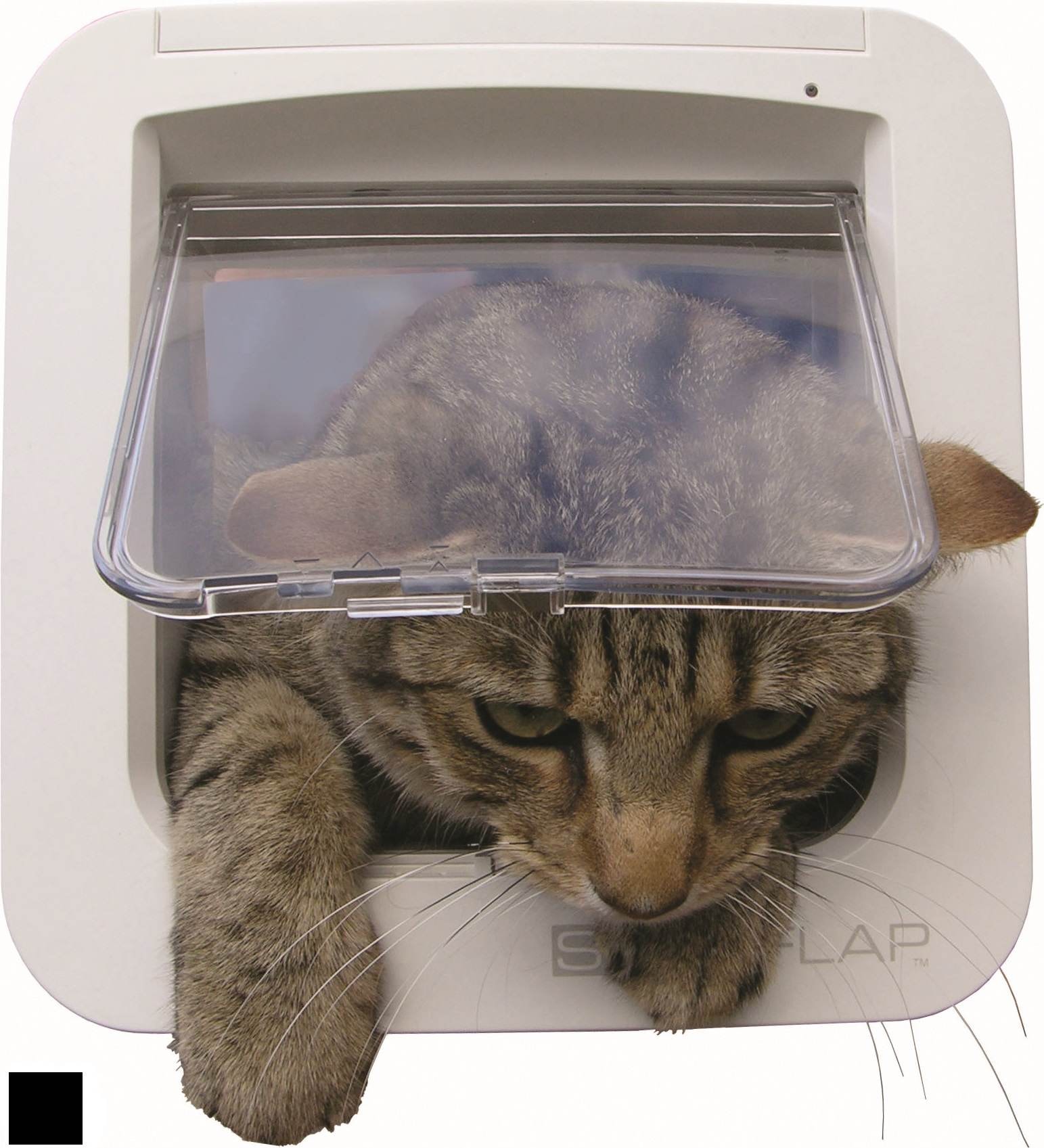 Sureflap kattedør til chip