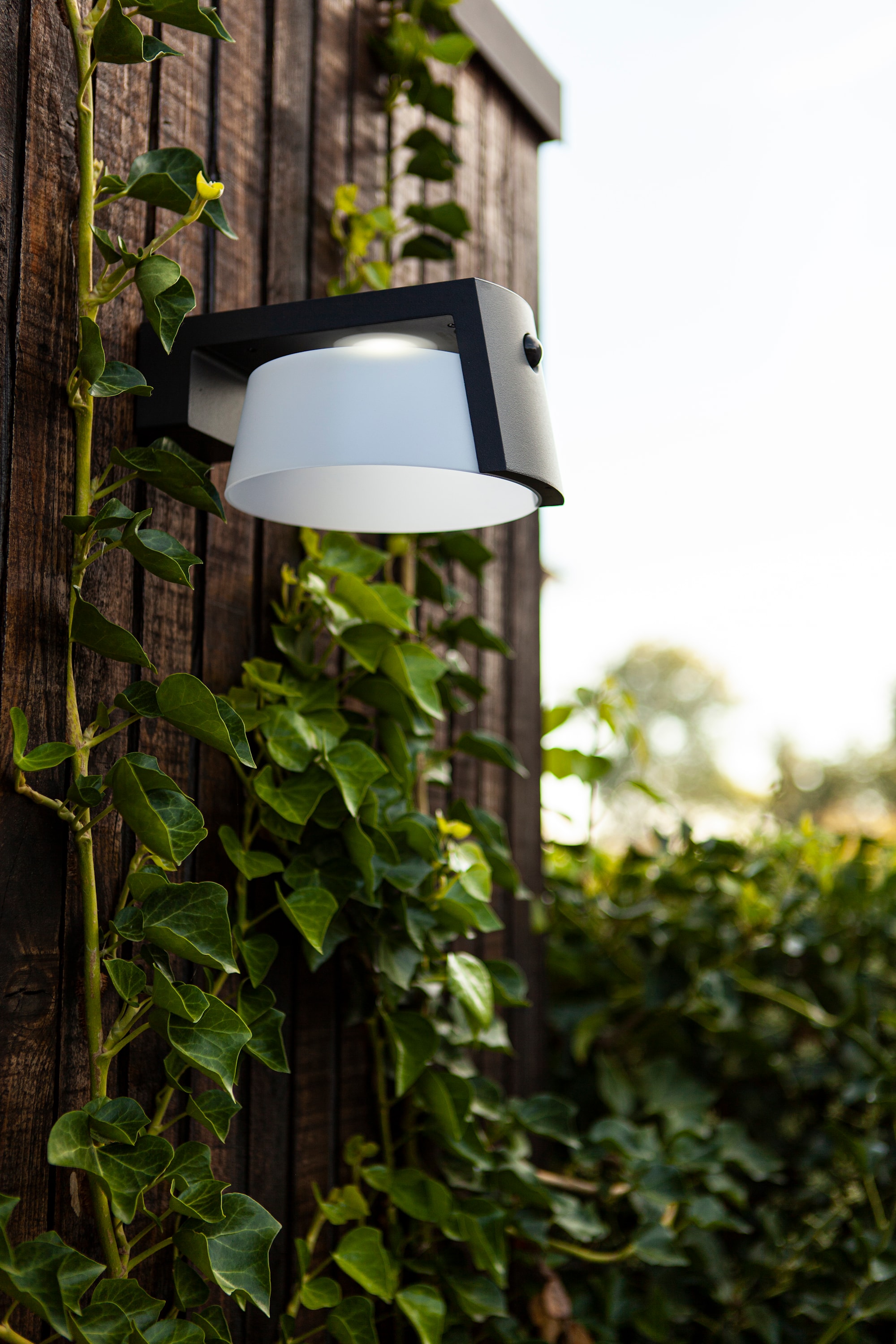 6906001118_6939412014838 (3).jpg