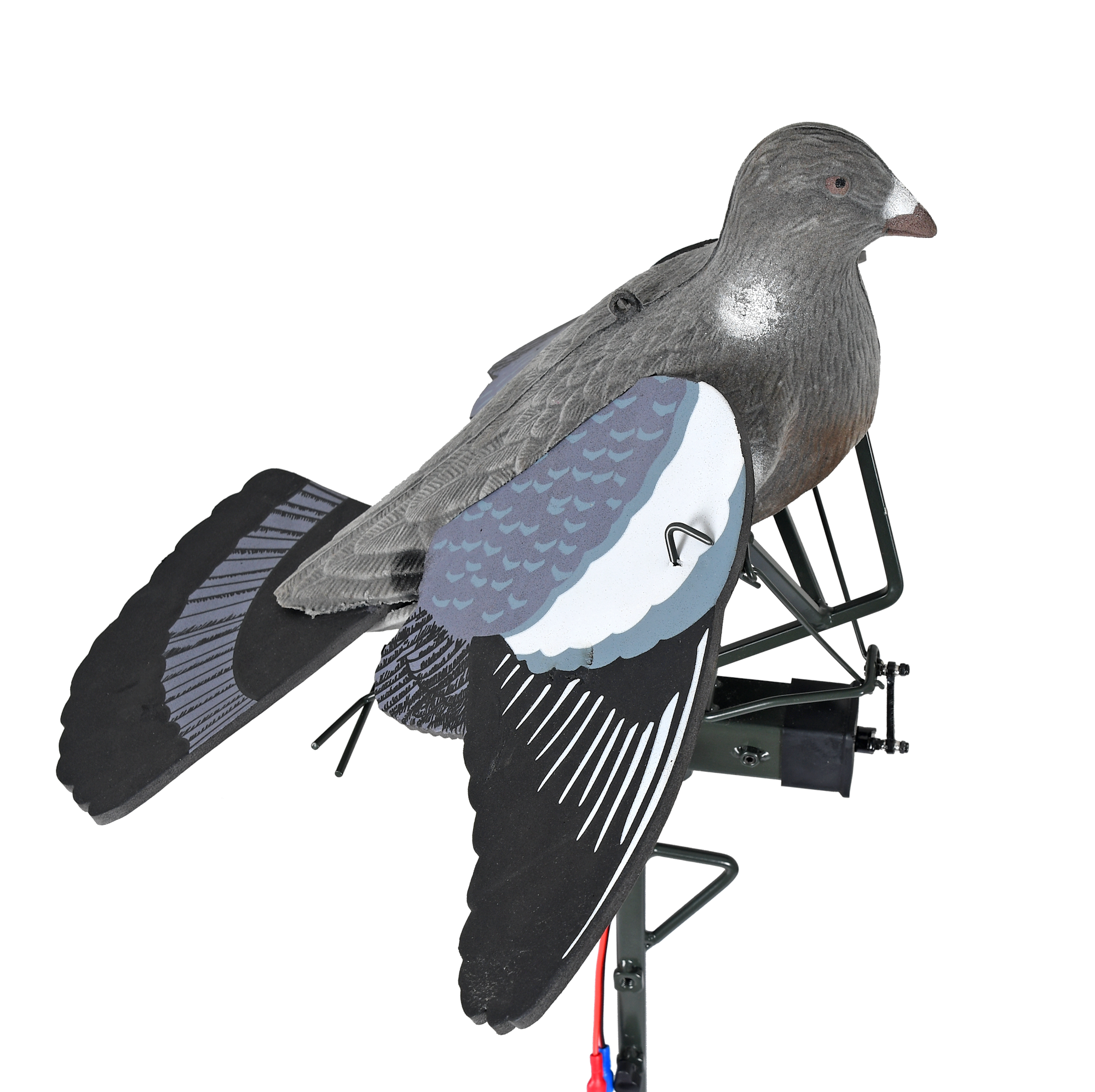 Flapper duva lite framifrån.png