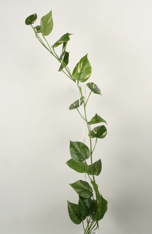 Silkeplanter kunstig Pothos ranke L115 cm