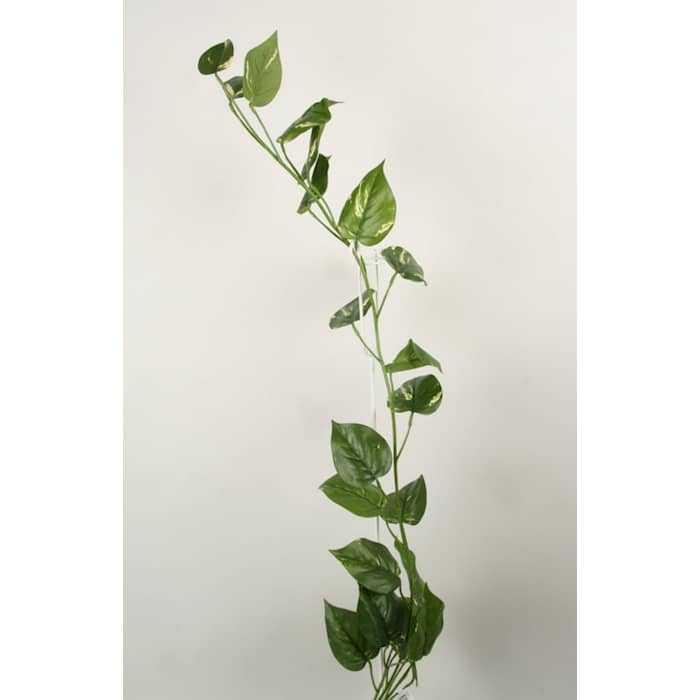 Silkeplanter kunstig Pothos ranke L115 cm