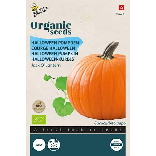 Buzzy Organic græskar Jack O' Lantern økologiske frø