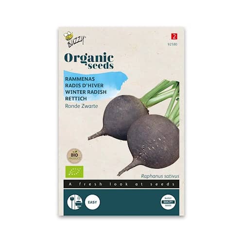 Buzzy Organic ræddike Black Spanish Round økologiske frø