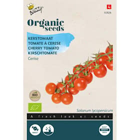 Buzzy Organic cherrytomat Cerise økologiske frø