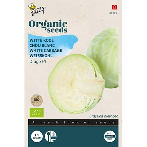 Buzzy Organic hvidkål Drago F1 økologiske frø