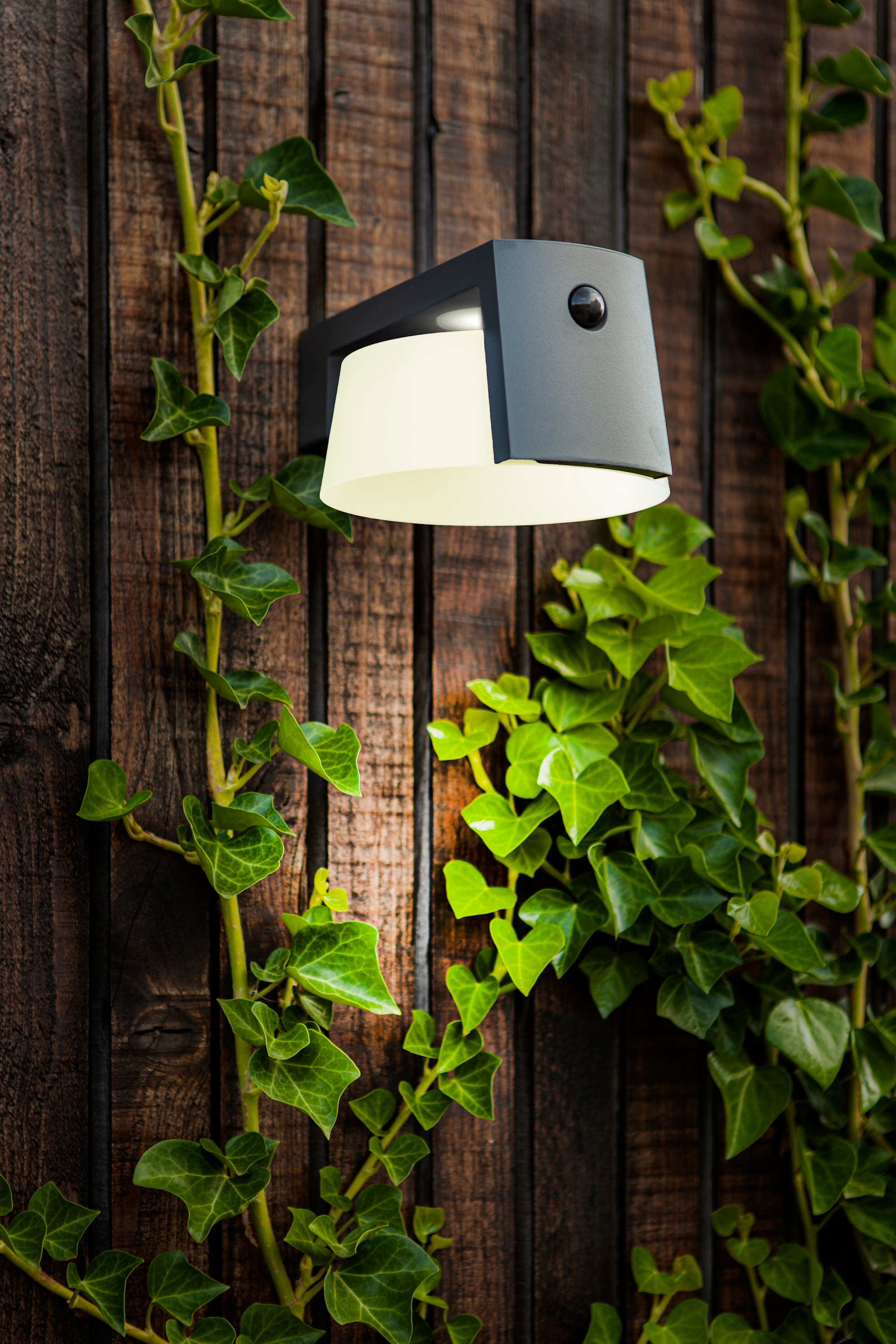 6906001118_6939412014838 (11).jpg