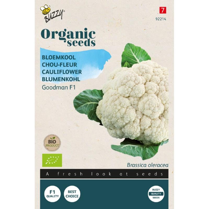 Buzzy Organic blomkål Goodman 1 økologiske frø