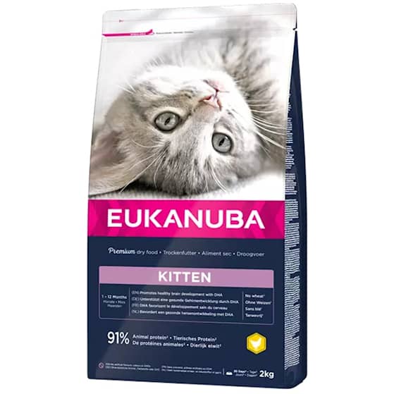 Eukanuba Kitten Healthy Start kattefoder