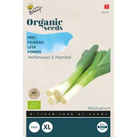 Buzzy Organic porre Leek Herfstreuzen 2 Hannibal økologiske frø