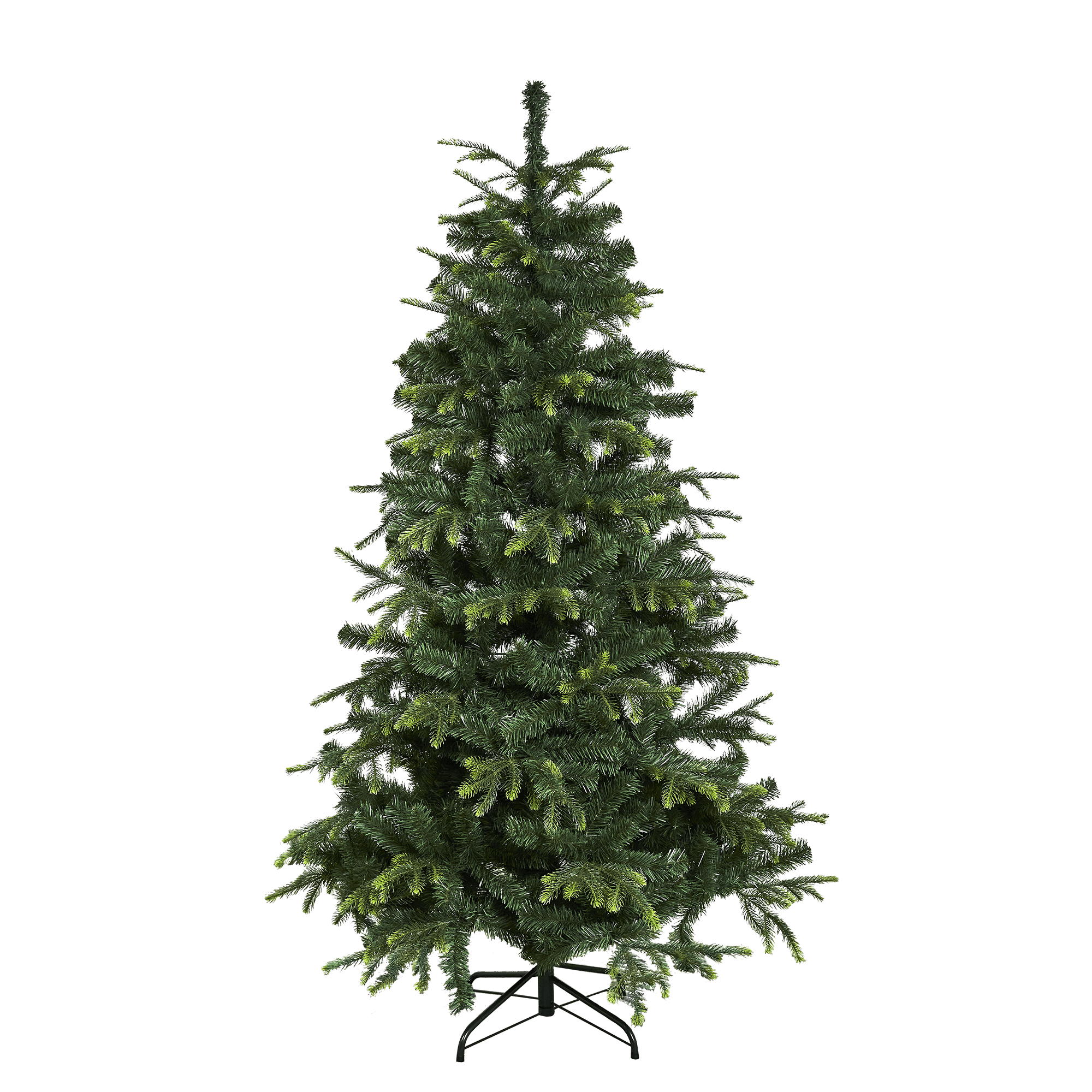 Image.aspx?id=30819bf2-feeb-4c1a-9f5c-0dc756ce71db