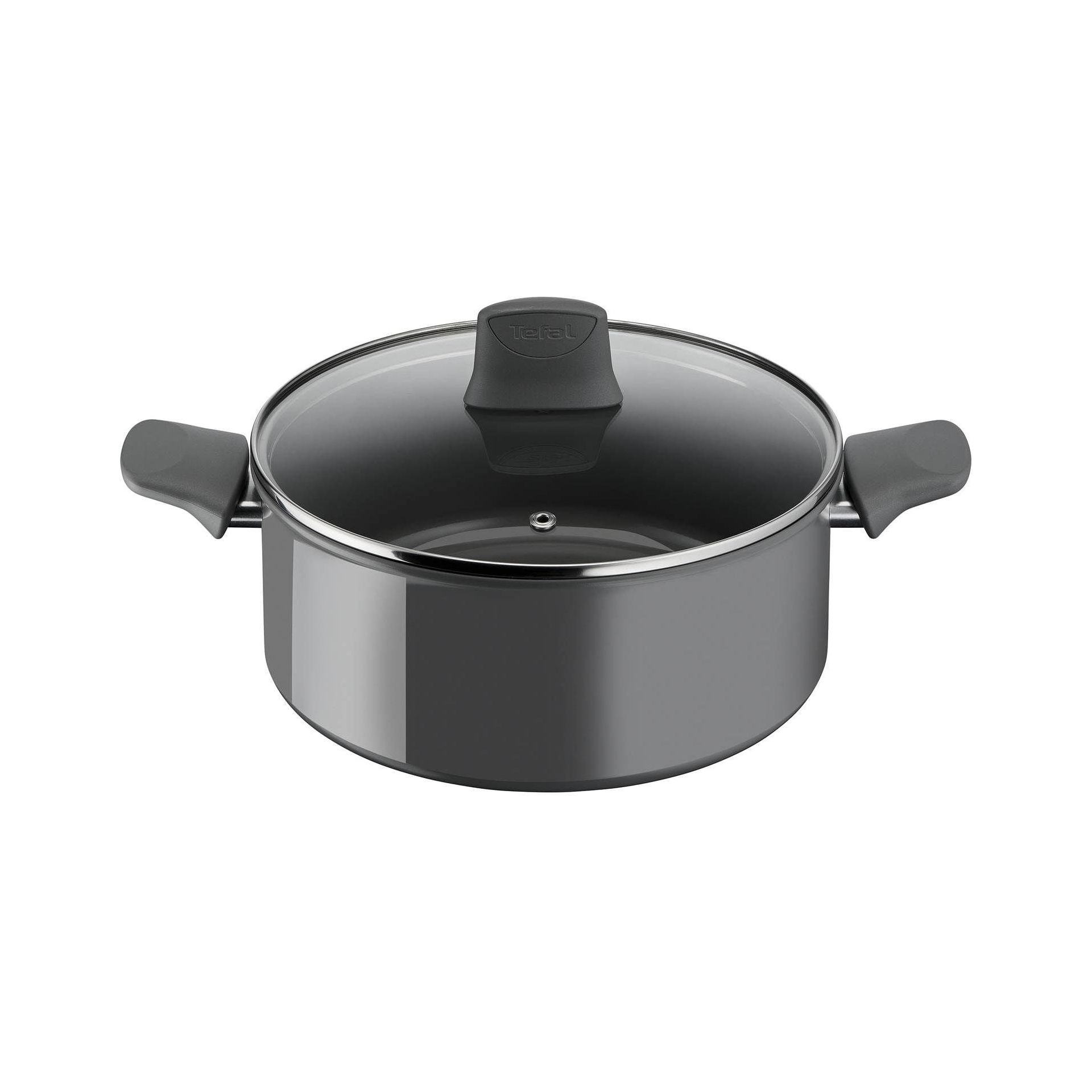 Tefal Renewal gryde Ø24 cm