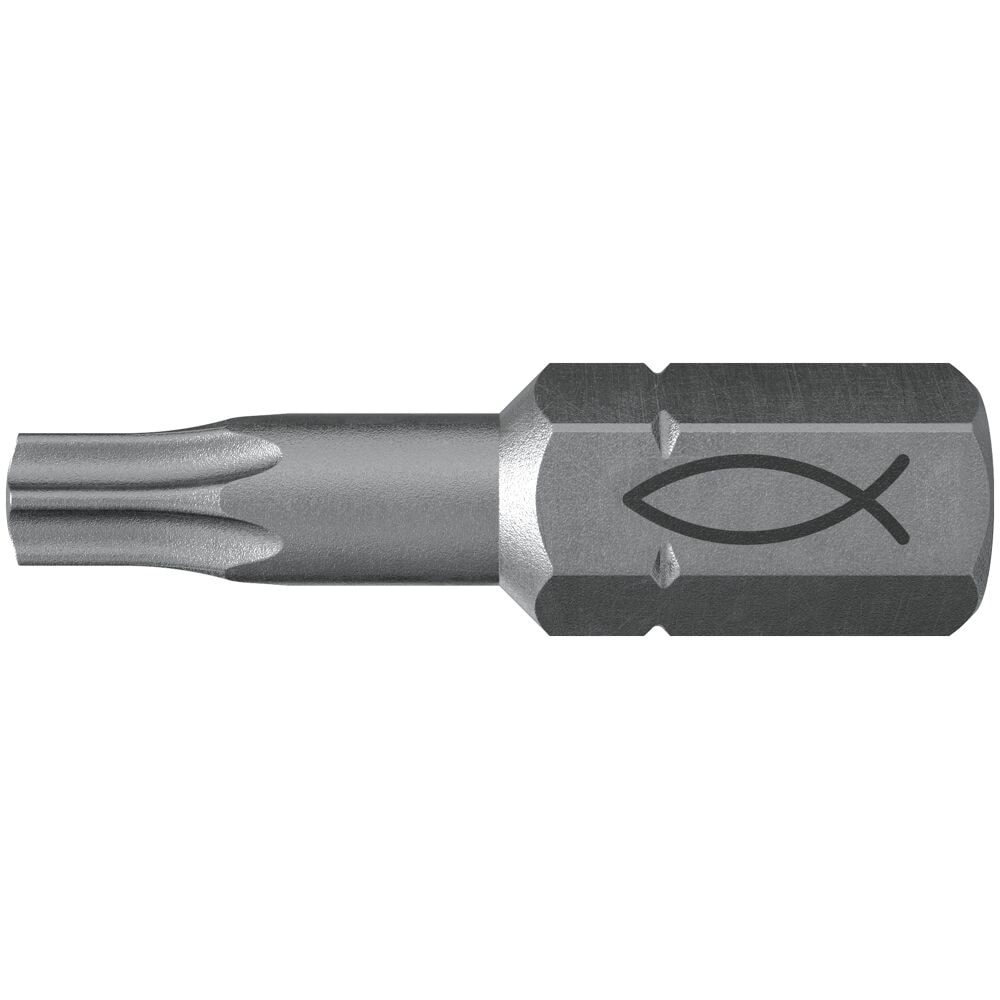 Fischer FPB TX 20 Profi bit W 10 10 stk.