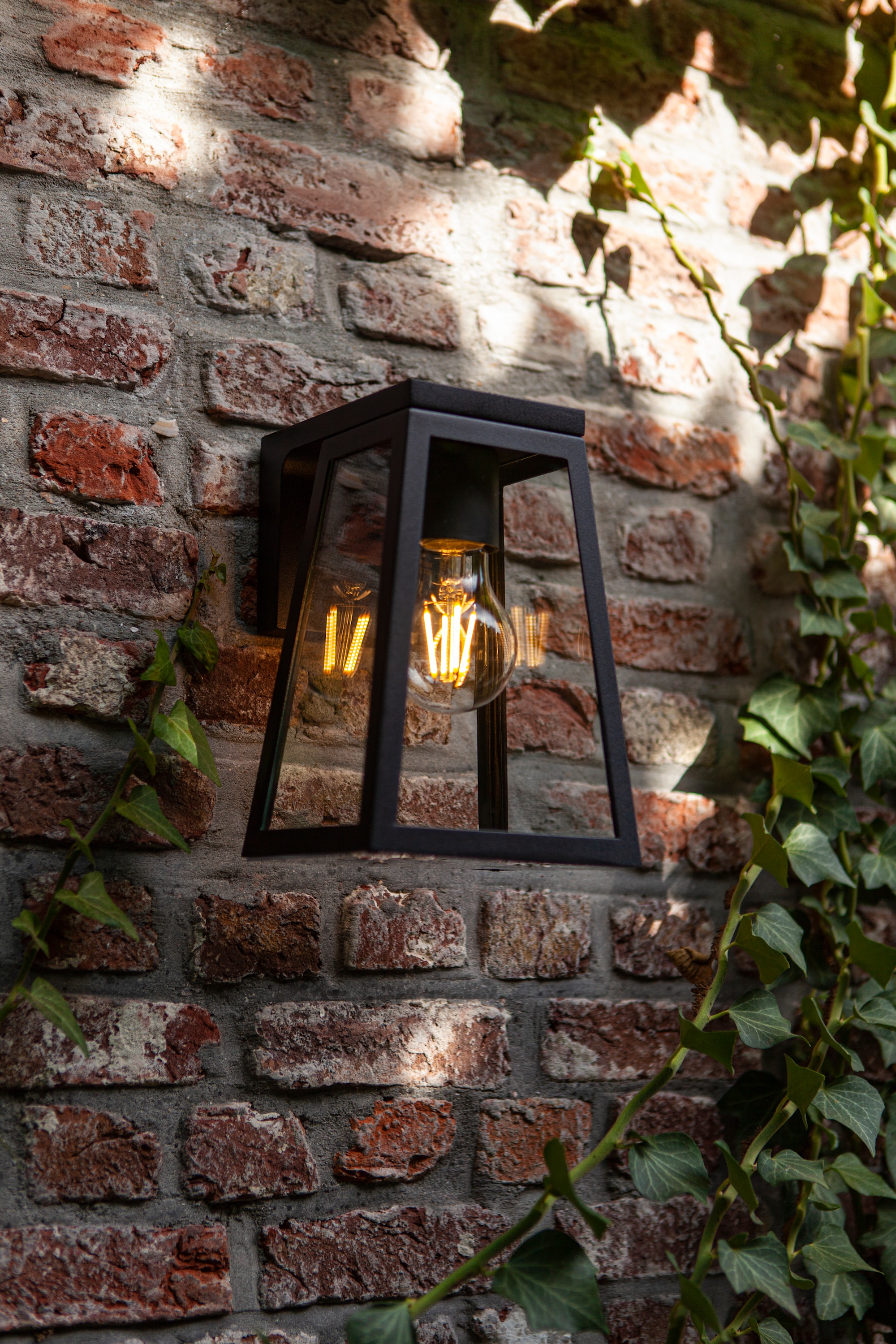 6990901012_6939412014999 (4).jpg