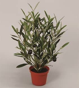 Silkeplanter kunstig oliven busk H38 cm