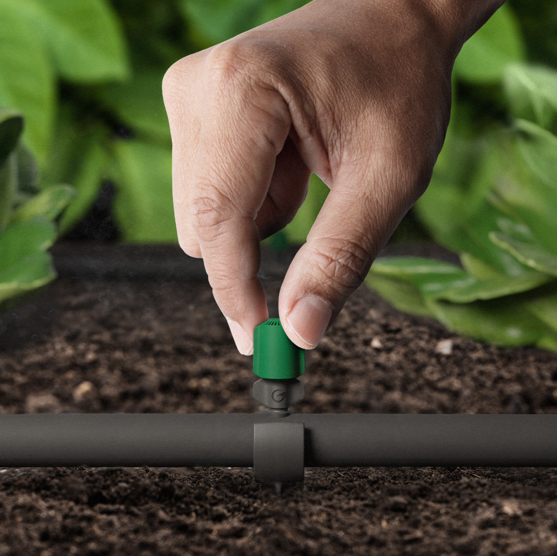 Skärmbild 2024-11-18 153608.png