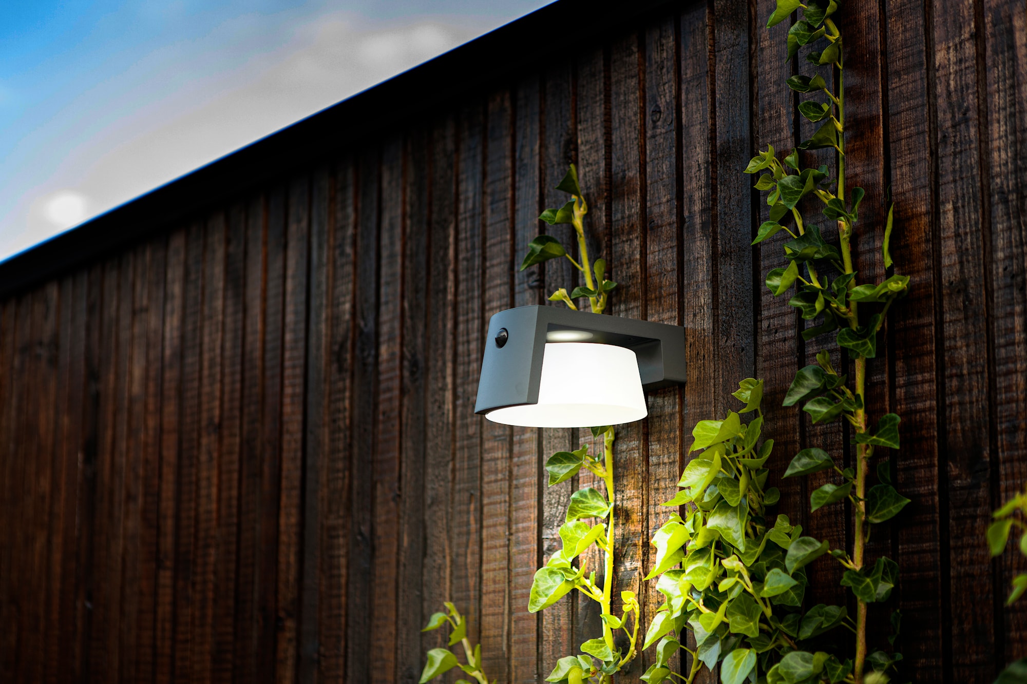 6906001118_6939412014838 (9).jpg