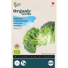 Buzzy Organic broccoli Belstar F1 økologiske frø