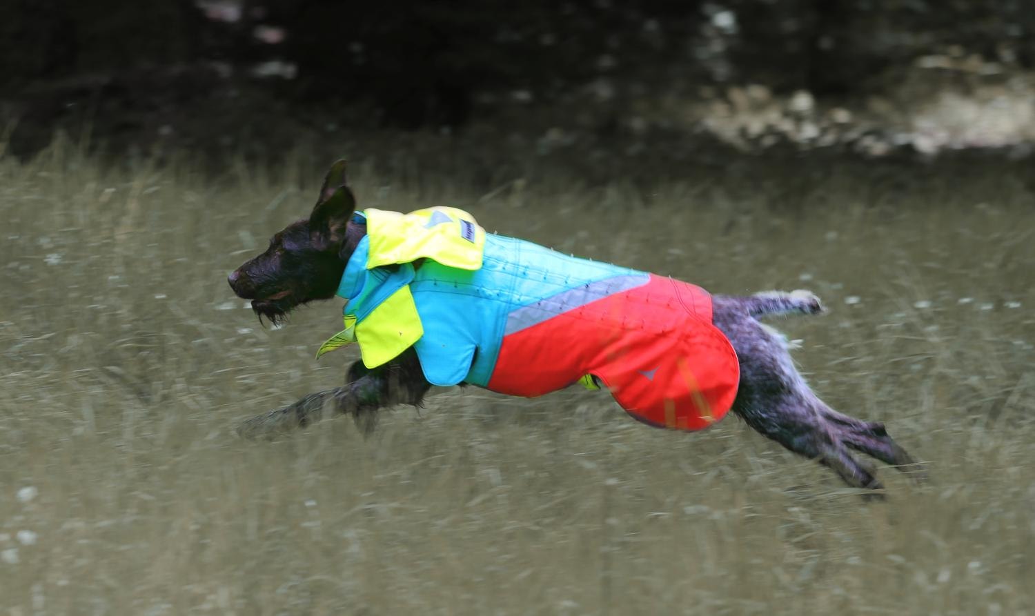 Tuskproof Wolf v.5 Blå