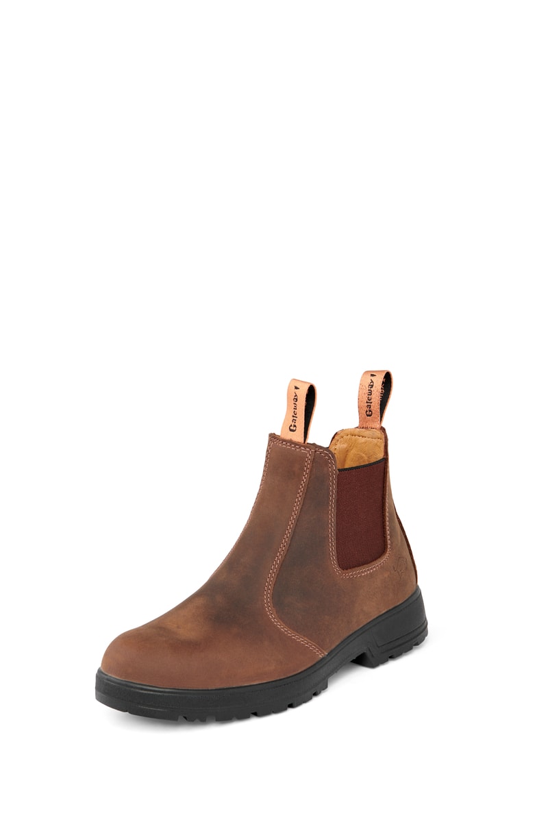 Gateway1 SD 6" Pull-on Chelsea Boots Herre Dark Brown 47