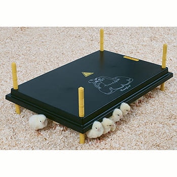 Olba kyllingemoder 40 x 60 cm