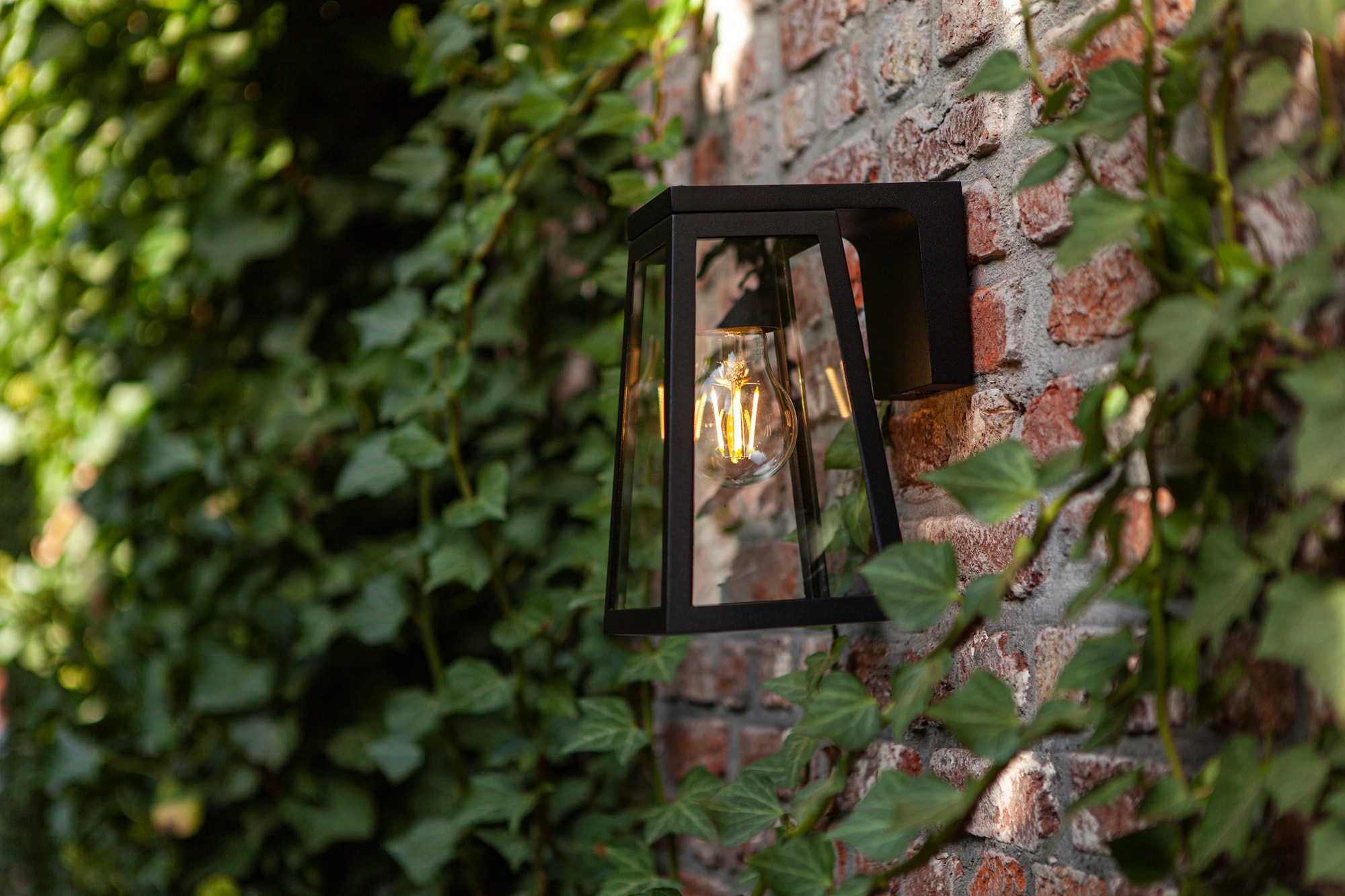 6990901012_6939412014999 (6).jpg