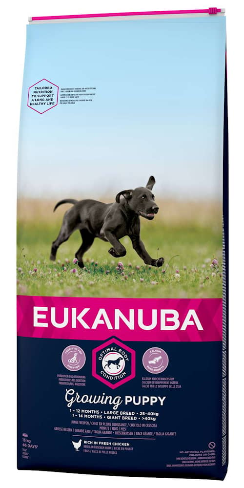 Eukanuba Puppy Large Breed Chicken hundefoder 15 kg