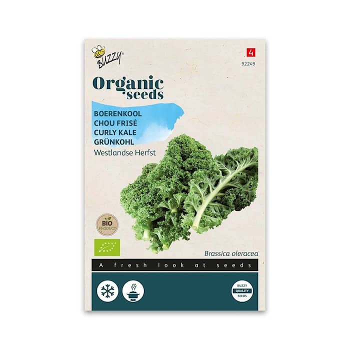Buzzy Organic grønkål Westland Herfst økologiske frø