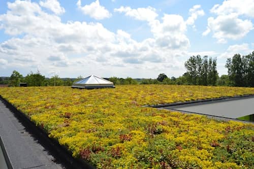 Nature Impact Roof grønt tag bakkesystem sedum 40 x 60 x 10 cm