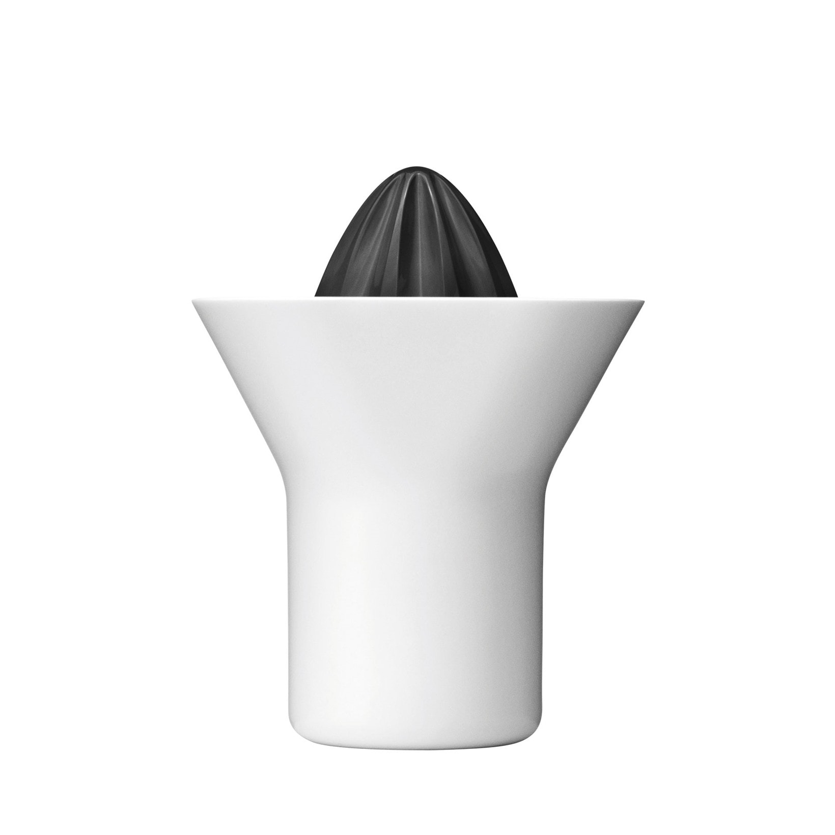 Rig-Tig citruspresser 0,33L