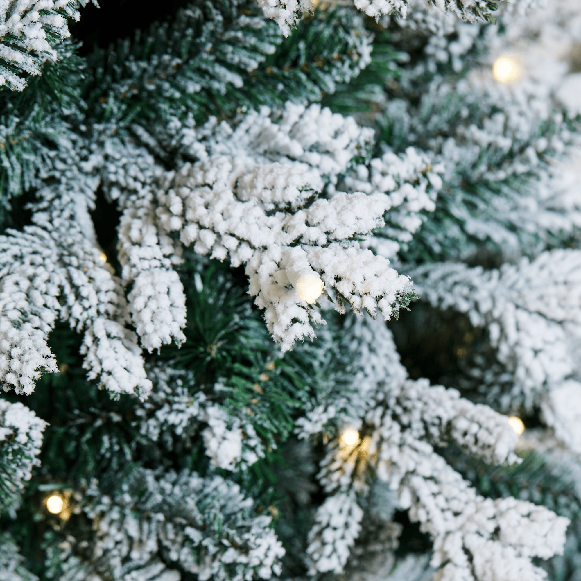 Image.aspx?id=b47e9f3d-d82a-4ece-9145-047fc8079c69