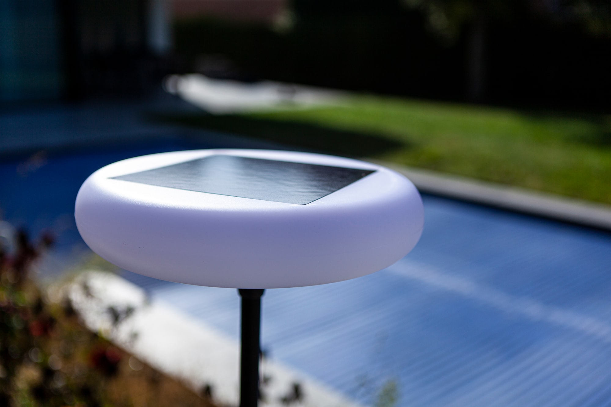 6910901012_6939412089157 (3).jpg