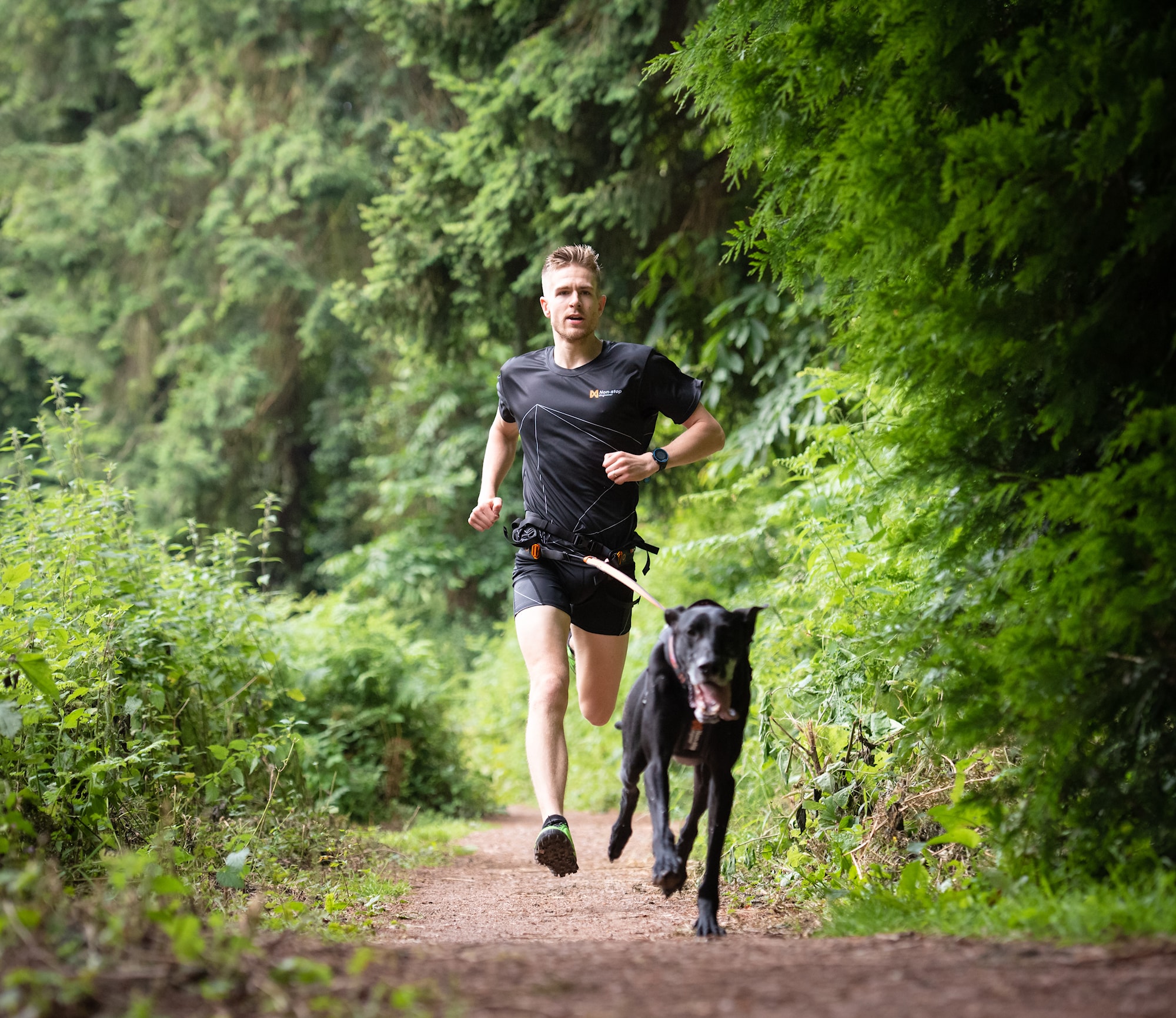 nonstopdogwear_b2b_CaniX Belt, Freemotion Harness 